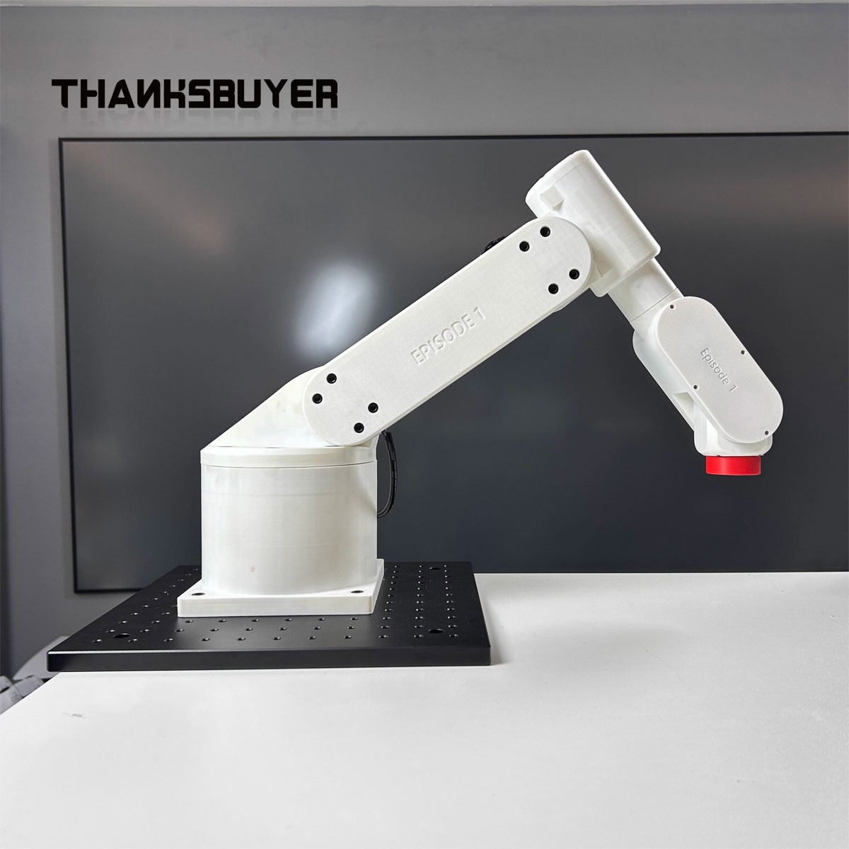 Robotic Arm 6 Axis Desktop - Masaüstü 6 Eksenli Mekanik Kol Büyük